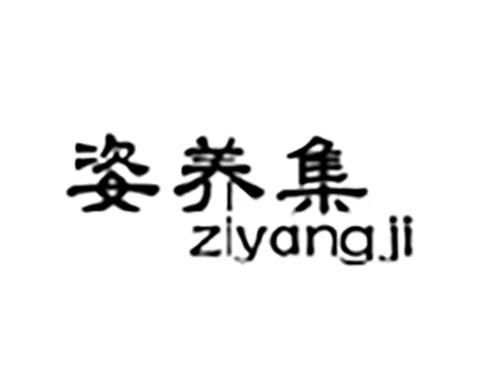 姿养集