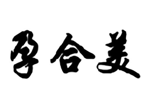 孕合美