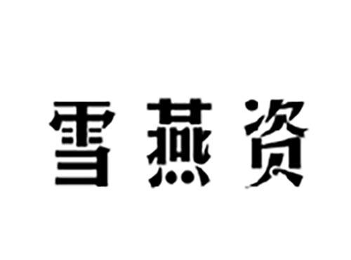 雪燕资