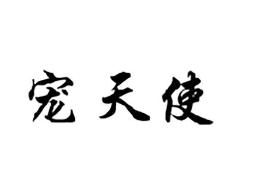 宠天使