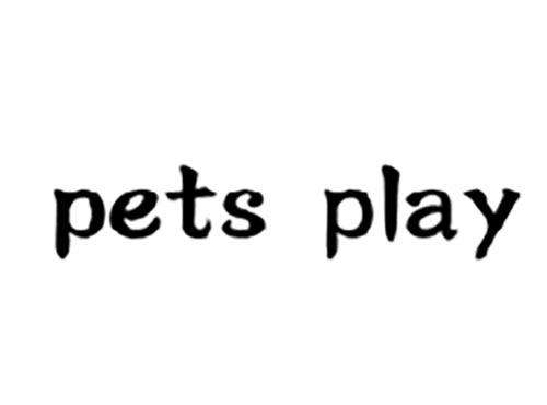 pets play