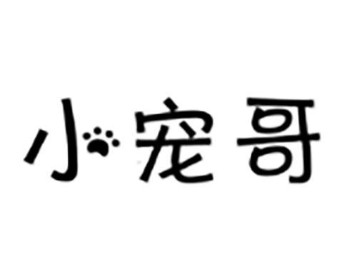 小宠哥
