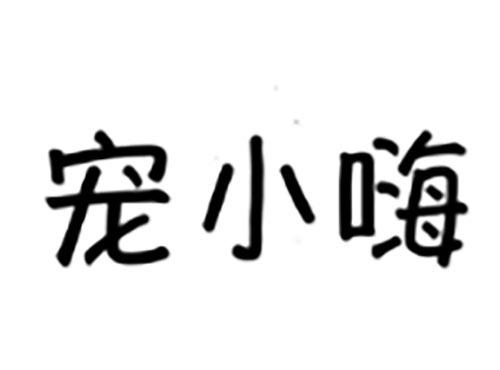 宠小嗨
