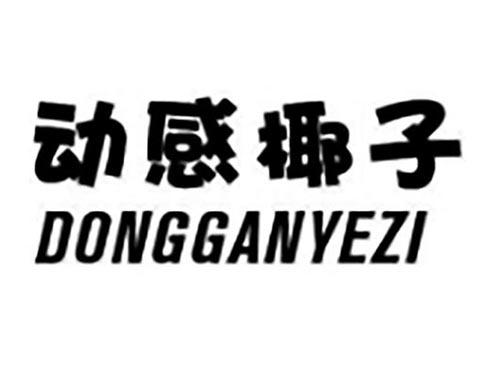 动感椰子