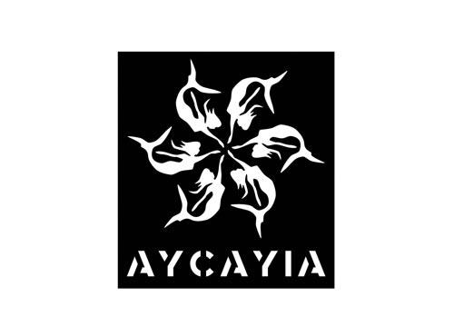 AYCAYIA
（樱花）