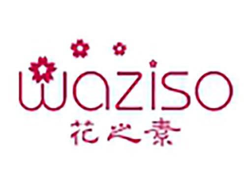 花之素
WAZISO