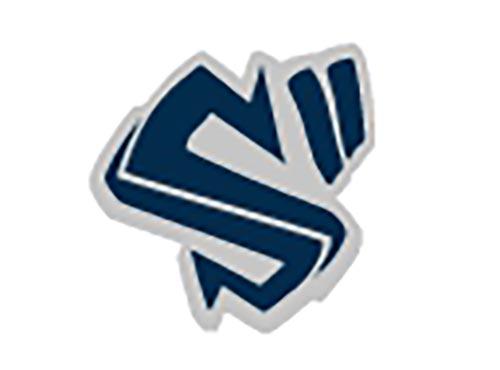 S2图形
(S图形)