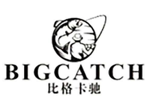 比格卡驰
BIGCATCH