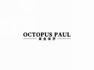 章鱼保罗
OCTOPUS PAUL