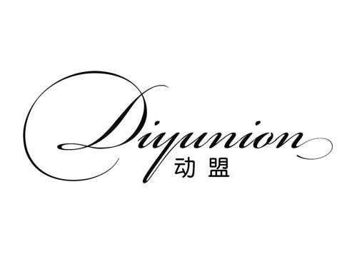 Diyunion
动盟