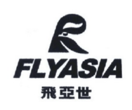 飞亚世