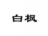 白枫