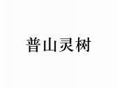 普山灵树