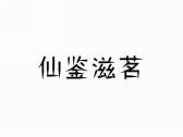仙鉴滋茗