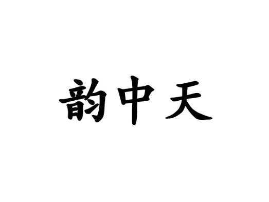 韵中天