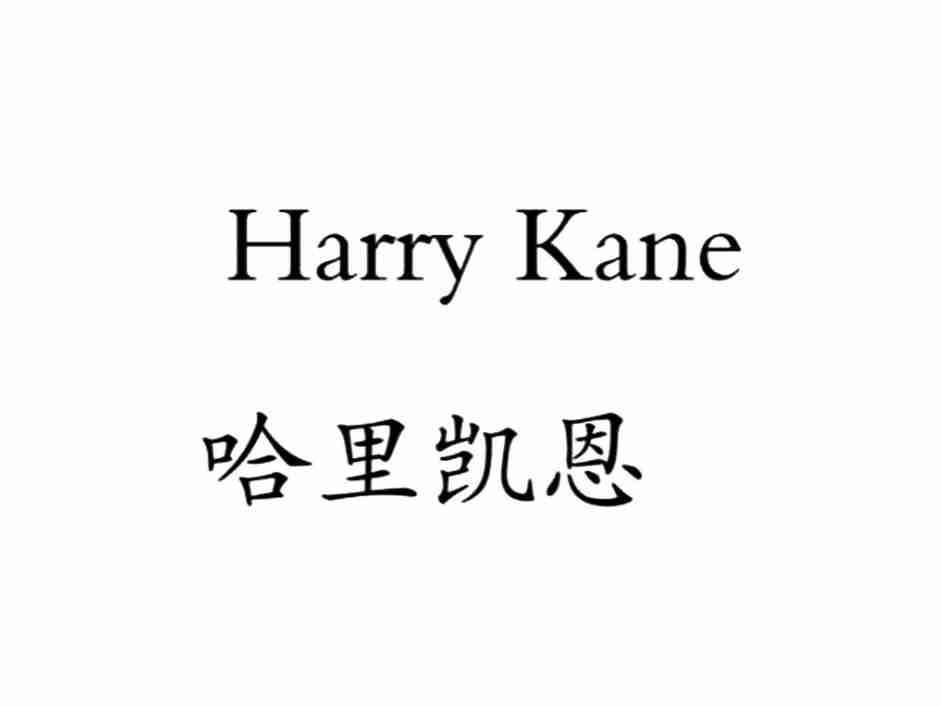 哈里凯恩   HARRY KANE