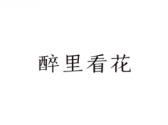 醉里看花