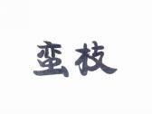 蛮枝