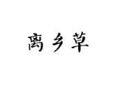 离乡草
