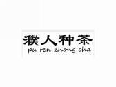 濮人种茶