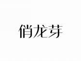 俏龙芽