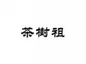 茶树祖