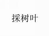 採树叶