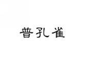 普孔雀