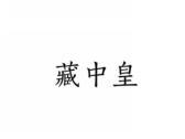 藏中皇