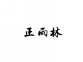 正雨林