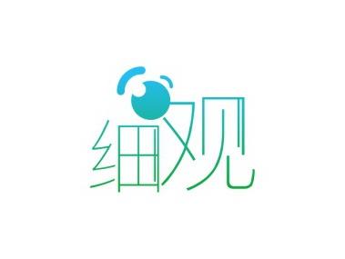 细观