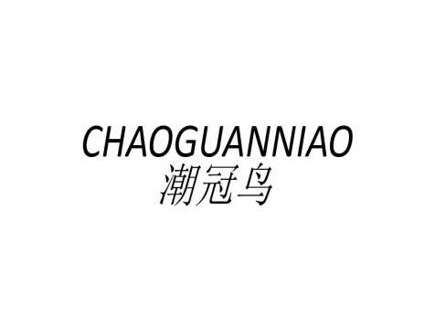 潮冠鸟CHAOGUANNIAO