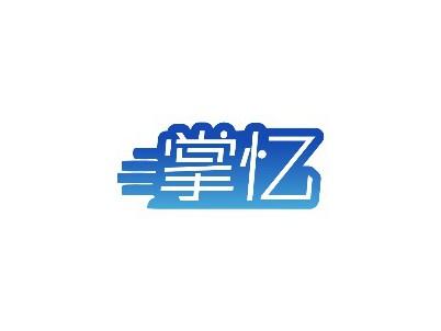 掌忆