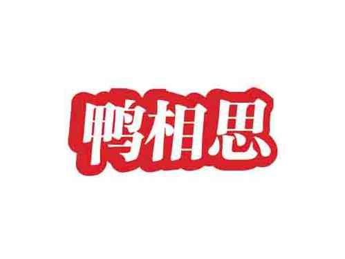 鸭相思