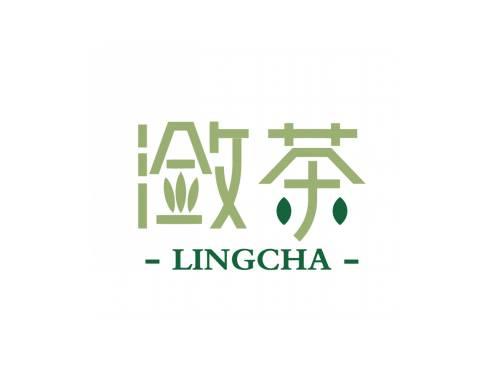 潋茶