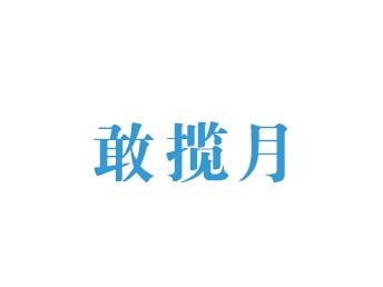敢揽月