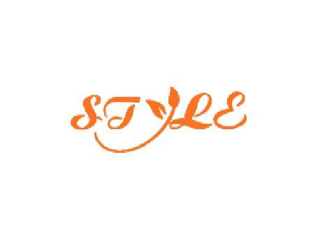 Style