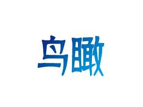 鸟瞰
