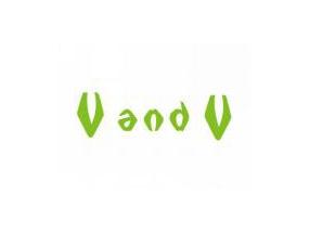 V AND V