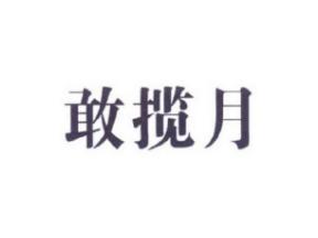 敢揽月