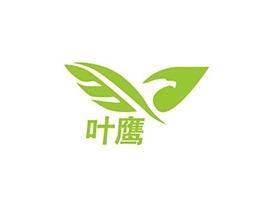 叶鹰