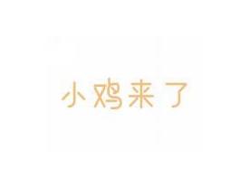 小鸡来了