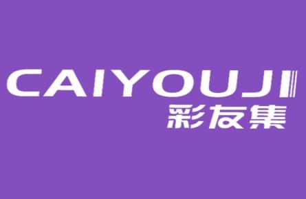 彩友集
