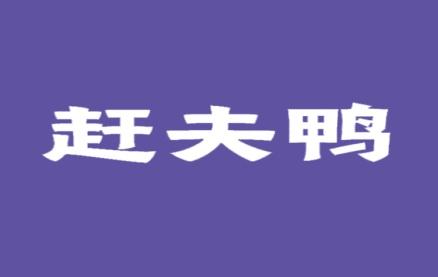 赶夫鸭