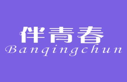伴青春