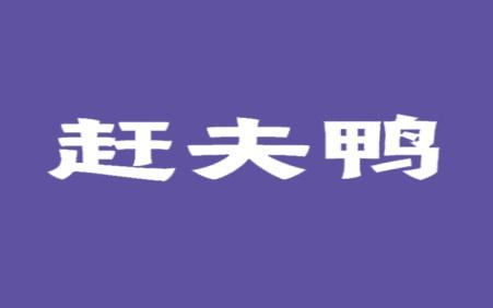 赶夫鸭