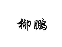 柳鹏