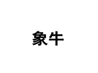 象牛