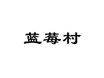 蓝莓村