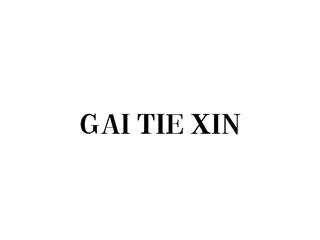 GAI TIE XINGAITIEXIN
